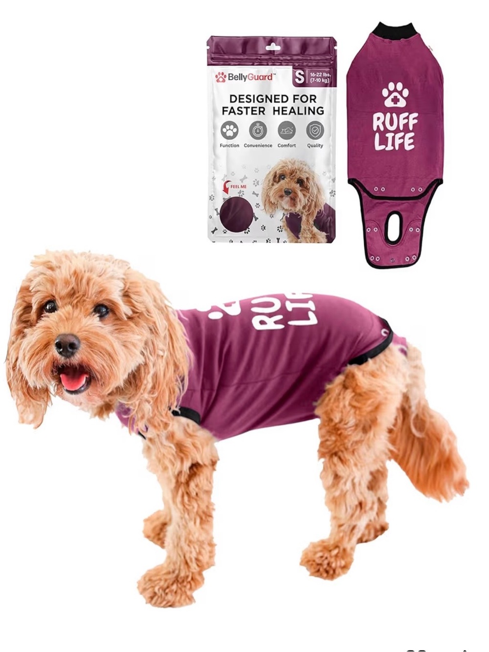 BellyGuard Dog Recovery Garment • No Cone Comfort • Size Small 8-15lbs Maroon